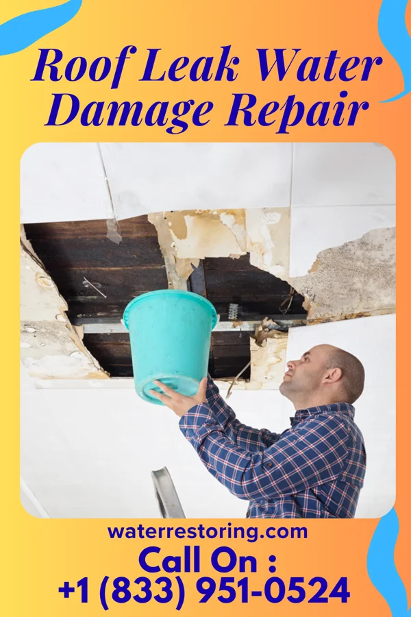 Roof Leak Water Damage Repair in Grovetown, GA